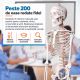 JAGO Emberi csontváz makett 181,5 cm