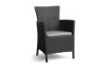Keter Kerti szék  Lowa 62 x 89 x 60 cm grafit