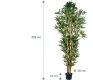 PLANTASIA Műnövény bambusz 220 cm
