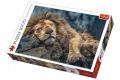 Teddies Puzzle alvó oroszlán 1000 db 40 x 27 x 6 cm