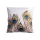 Párnahuzat Peacock 45 x 45 cm