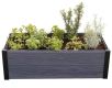 Keter Kerti virágláda MAPLE TROUGH szürke